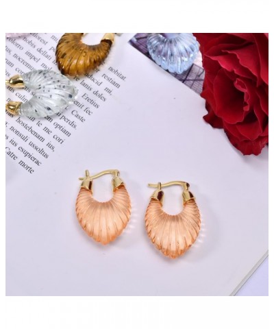 18k Gold Filled Resin Earrings，Acrylic Hoop Earrings For Women,Boho Style Drop Earrings brown $7.90 Earrings