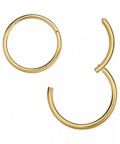 316L Surgical Steel Hinged Nose Rings Hoop 20G 18G 16G 14G, Diameter 6mm to 10mm, Color Gold - Rose Gold - Silver - Black - R...