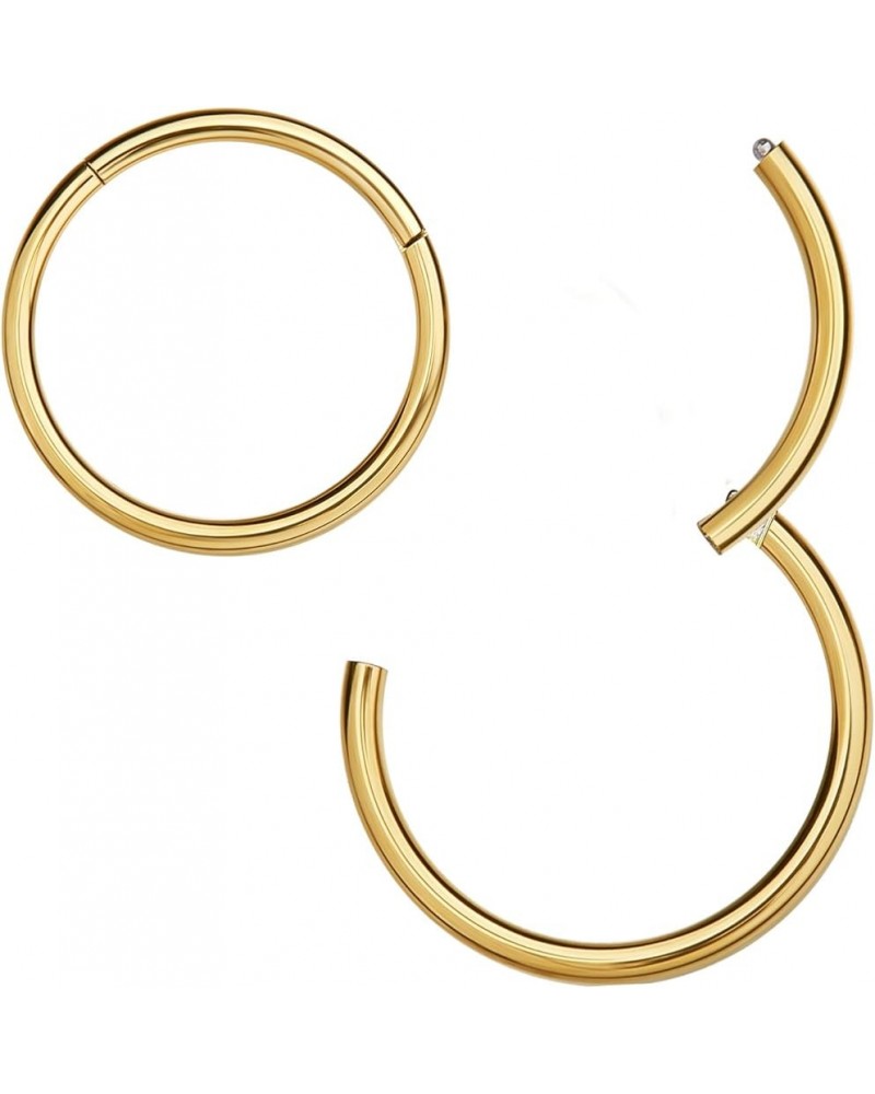 316L Surgical Steel Hinged Nose Rings Hoop 20G 18G 16G 14G, Diameter 6mm to 10mm, Color Gold - Rose Gold - Silver - Black - R...