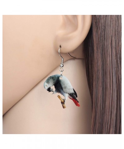 Acrylic African Grey Parrot Bird Earrings Dangle for Women Teens Girls $7.27 Earrings