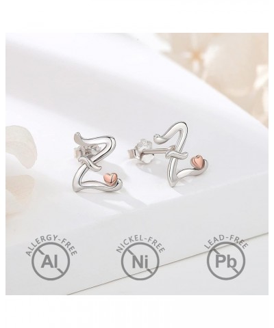 Sterling Silver Initial Necklaces 26 Letter Pendant with Rose Gold Heart - 18 Inch Chain Z-Studs Earrings $18.28 Earrings