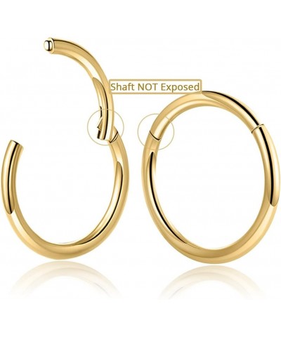 Nose Ring Septum Hoop 20G/18G/16G/14G/12G 316L Surgical Stainless Steel Hinged Seamless Earrings, Diameter 5MM-16MM, Gold/Sil...