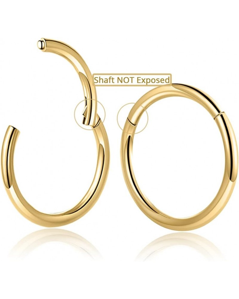 Nose Ring Septum Hoop 20G/18G/16G/14G/12G 316L Surgical Stainless Steel Hinged Seamless Earrings, Diameter 5MM-16MM, Gold/Sil...