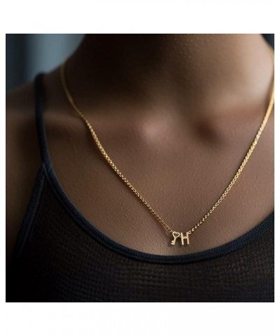 18K Gold Heart Initial Necklace for Women, Stainless Steel Tiny Letter Dainty Key Pendant Necklaces Gift for Girl Gold Z $10....