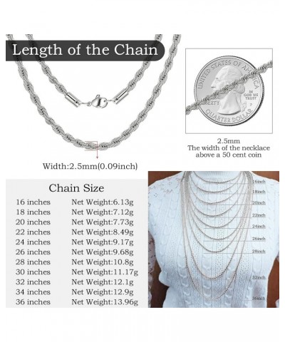 Twist Chain Necklace - Stainless Steel Rope Jewelry for Men & Women 30 Inches 2.5mm Wide $9.71 Necklaces