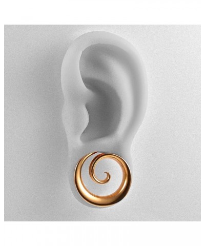 2PCS Fashion Round Spiral Saddle 316 Stainless Steel Ear Tunnels Plugs Stretcher Gauges For Ear lobe Expander Piercing Body J...