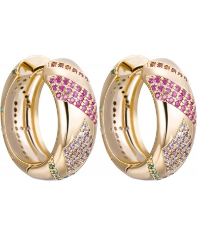 925 Sterling Silver Gilded Rose Gold Earrings Cubic Zirconia for Girls Gold Hoop $12.50 Earrings