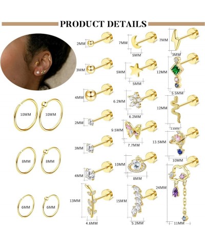 24PCS 20G Cartilage Earring Stainless Steel Stud Earrings For Women Gold Silve CZ Stud Earrings Flower Leaf Screw Flat Back E...