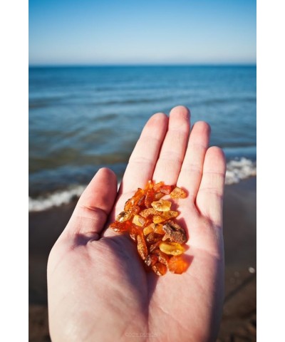 Baltic Amber Bracelet (Unisex) - Genuine Baltic Amber Beads (5.5 in.) Black $7.79 Anklets