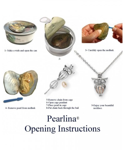 Sterling Silver Owl Necklace Cage Cultured Pearl in Oyster Wish pearl Set 18 $29.40 Necklaces