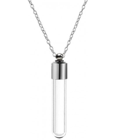 Urn Necklace for Ashes Glass Vial Necklace Stainless Steel Urn Necklace for Women Men Blood Vial Perfume Bottle Pendant Neckl...