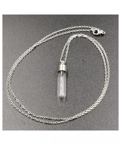 Urn Necklace for Ashes Glass Vial Necklace Stainless Steel Urn Necklace for Women Men Blood Vial Perfume Bottle Pendant Neckl...