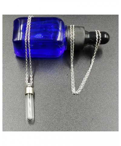 Urn Necklace for Ashes Glass Vial Necklace Stainless Steel Urn Necklace for Women Men Blood Vial Perfume Bottle Pendant Neckl...