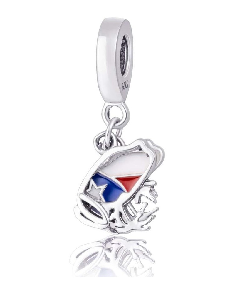 Puerto Rico Map Flag Charm, Frog Pendant Charm,Animal Enamel Charm 925 Sterling Silver Fit European Bracelet&Necklace $11.17 ...