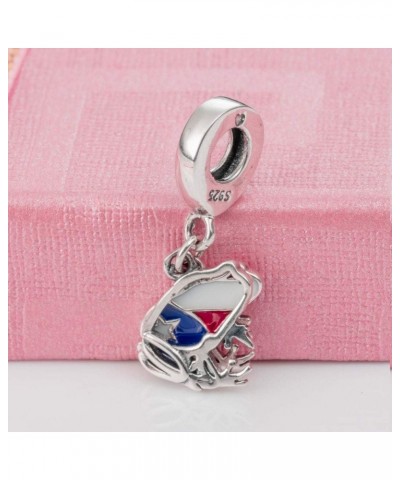 Puerto Rico Map Flag Charm, Frog Pendant Charm,Animal Enamel Charm 925 Sterling Silver Fit European Bracelet&Necklace $11.17 ...